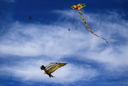 18th Mar 2023 - Flying kites Saturday