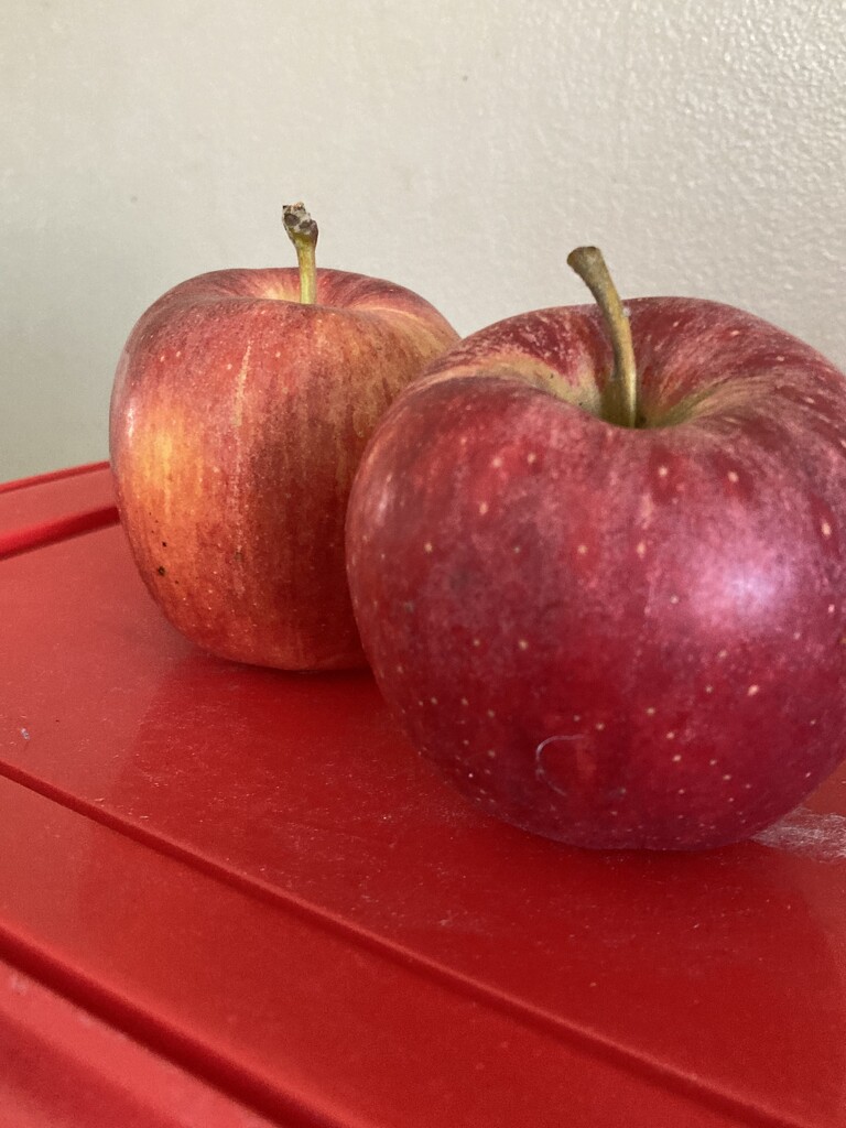 Red Apples on a Red Lid by spanishliz