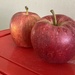 Red Apples on a Red Lid