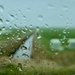 Another rainy day at the Frisian countryside