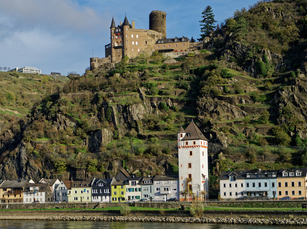0318 - Banks of the Rhine Gorge (1) by bob65