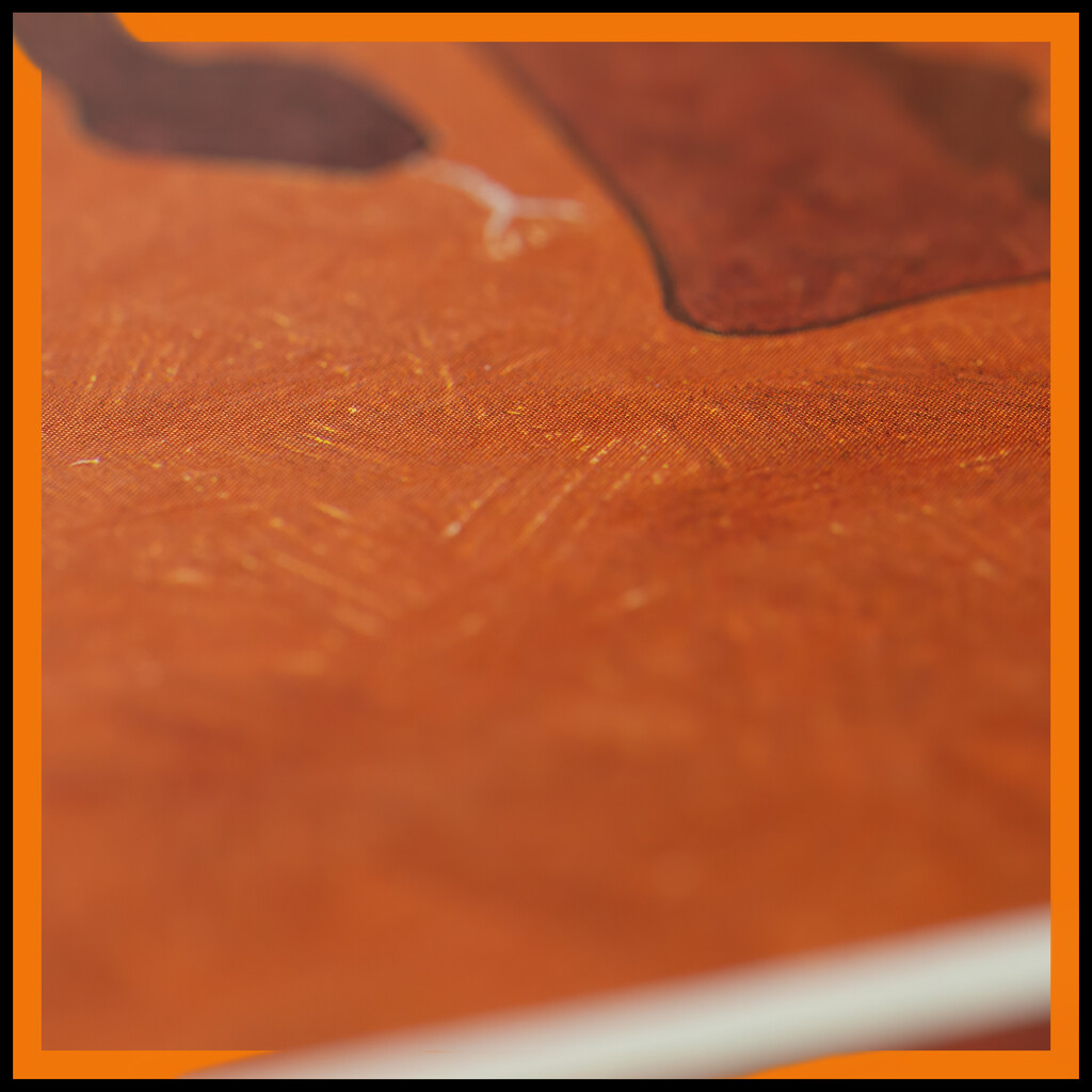 orange album by koalagardens