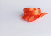 21st Mar 2023 - Orange Ribbon 
