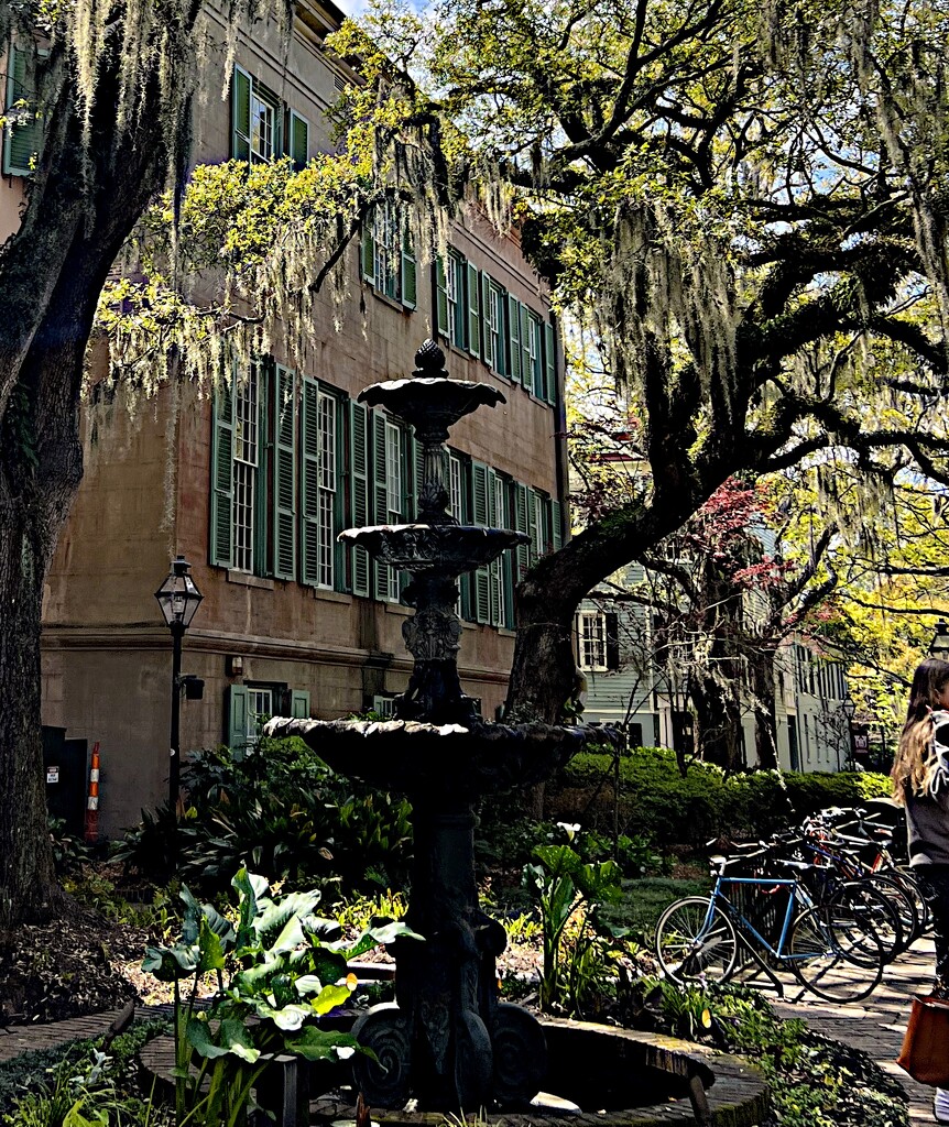 College of Charleston campus  by congaree