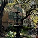 College of Charleston campus  by congaree