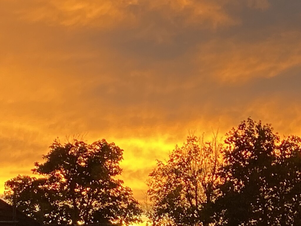 Orange sunset  by hoopydoo