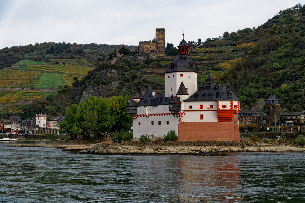 0320 - Castle on the Rhine Gorge (1) by bob65
