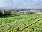 21st Mar 2023 - Kent Countryside 