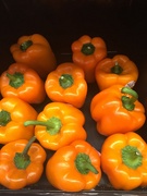 7th Mar 2023 - Orange peppers