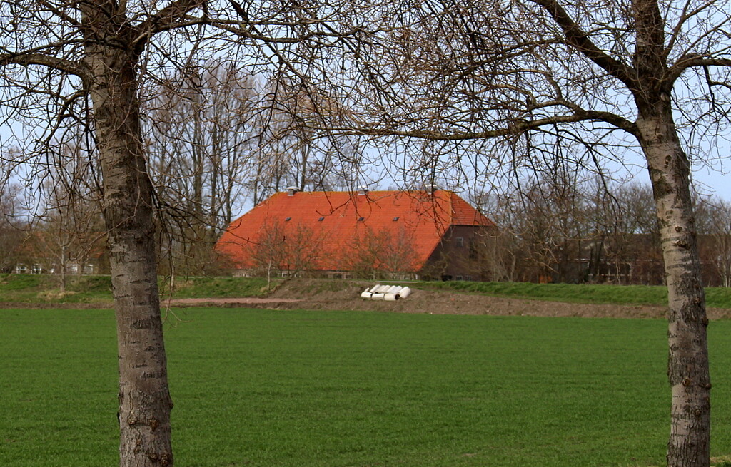 Orange (barn roof) by pyrrhula