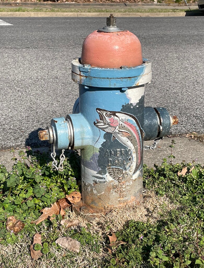 Rainbow trout hydrant by margonaut