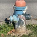 Rainbow trout hydrant by margonaut