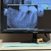 Endodontist's office by margonaut