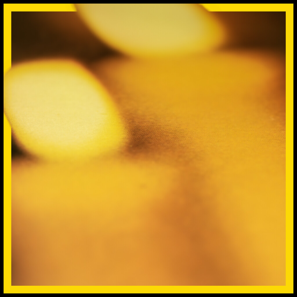 yellow album by koalagardens