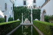 23rd Mar 2023 - Alcázar de Sevilla