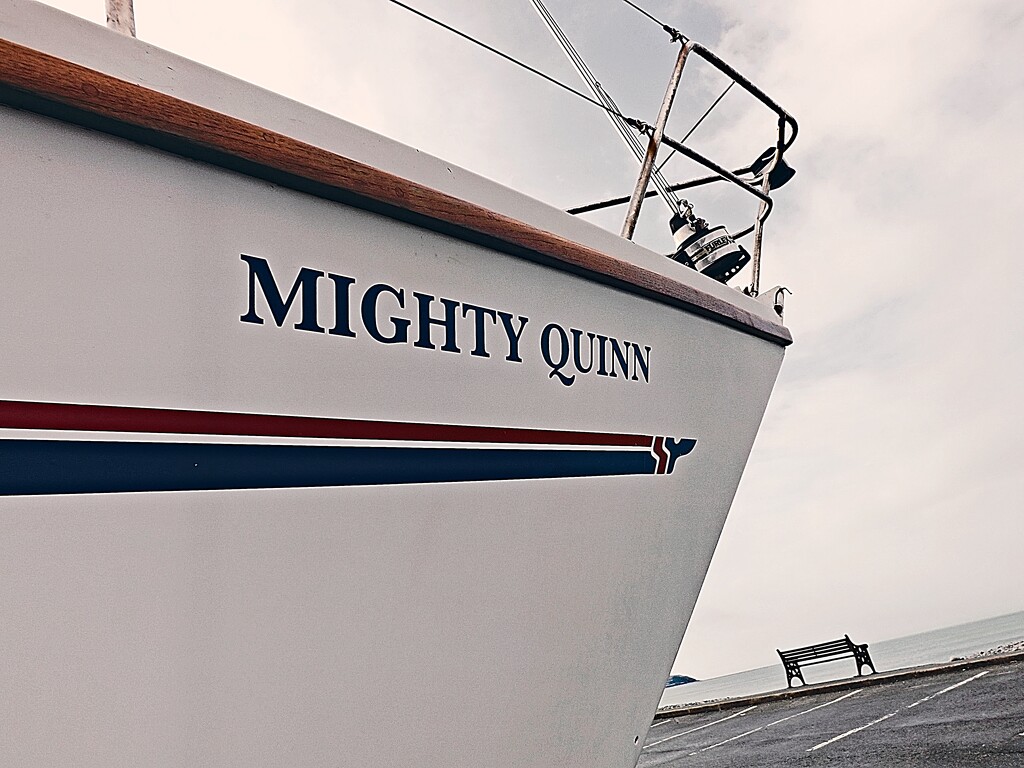 The 'Mighty Quinn' by ajisaac