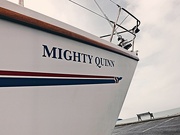 9th Mar 2023 - The 'Mighty Quinn'
