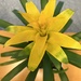 A yellow bromeliad  by louannwarren