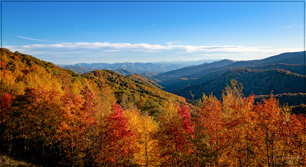 Smoky Mountain Nat'l Park by bluemoon