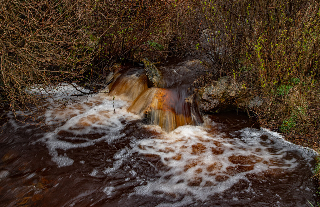 Peaty Water by lifeat60degrees