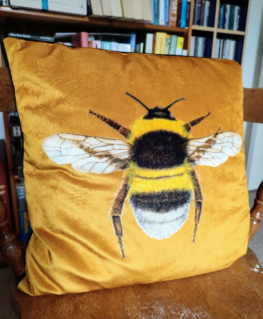 Velvet bee cushion  by boxplayer