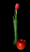 22nd Mar 2023 - The tulip and the apple