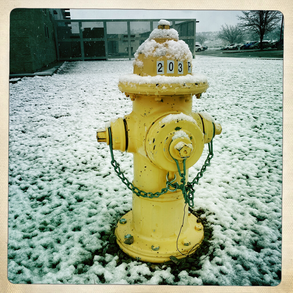 Snowy Hydrant by jeffjones