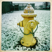 19th Mar 2023 - Snowy Hydrant