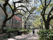 22nd Mar 2023 - College of Charleston campus