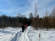 16th Feb 2023 - Pond Trails 