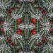 Cactus in Bloom #2 ~ A Tessellation by 365projectorgbilllaing