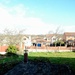 365 garden 194