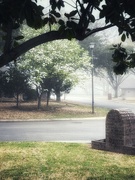 23rd Mar 2023 - A foggy spring morning