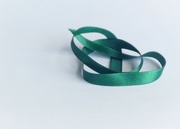 23rd Mar 2023 - Green Ribbon 