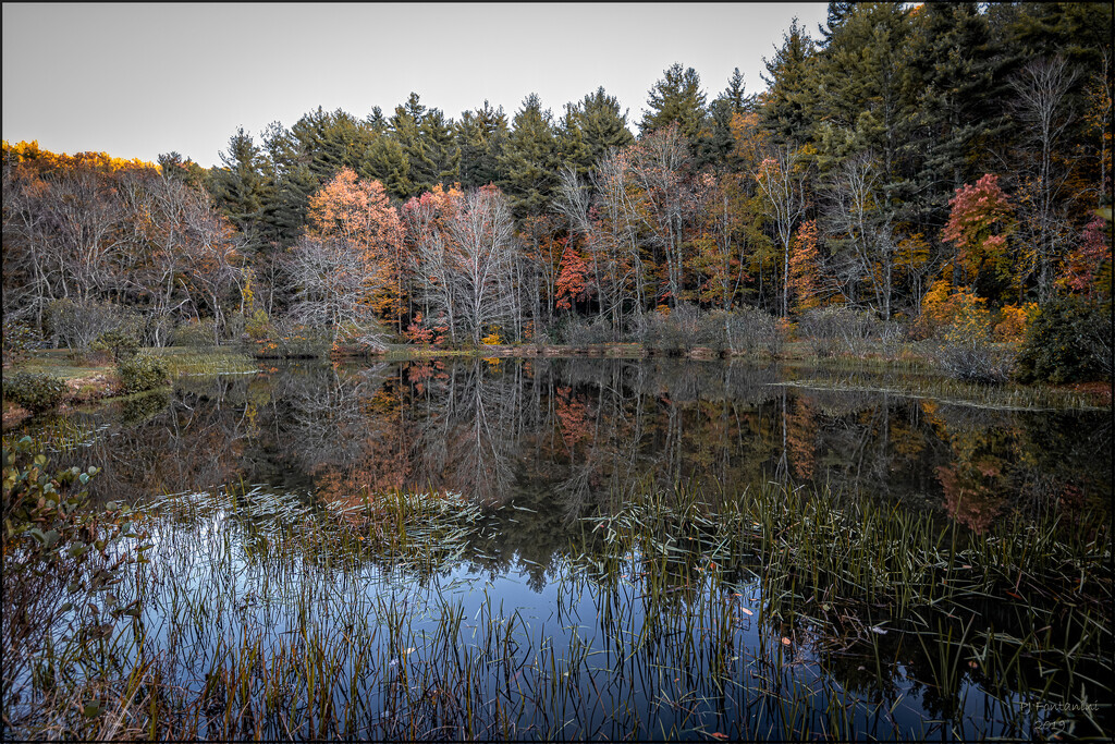 Little Glade Mill Pond by bluemoon
