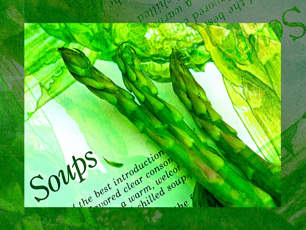 Asparagus Soup? by gardencat