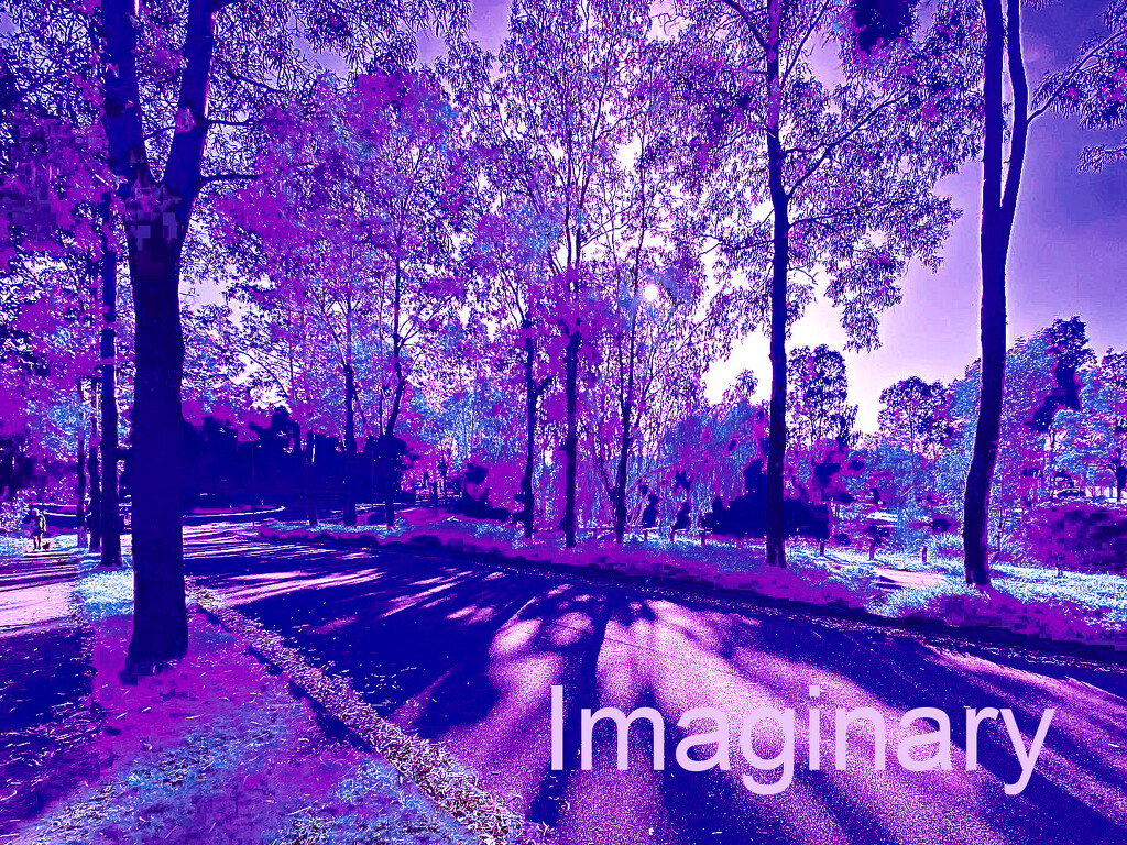 Imaginary  by sugarmuser