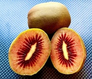 25th Mar 2023 - Yes this is the colour of these kiwi fruit ,not for NZs market 
