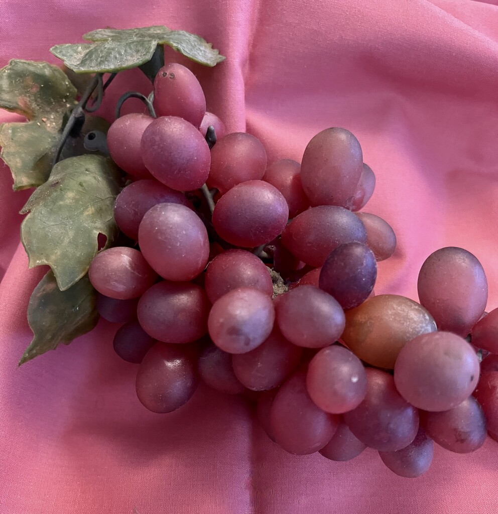 Grapes by essiesue