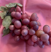 23rd Mar 2023 - Grapes
