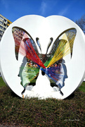24th Mar 2023 - Butterfly......