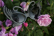 24th Mar 2023 - Butterfly Sunglasses