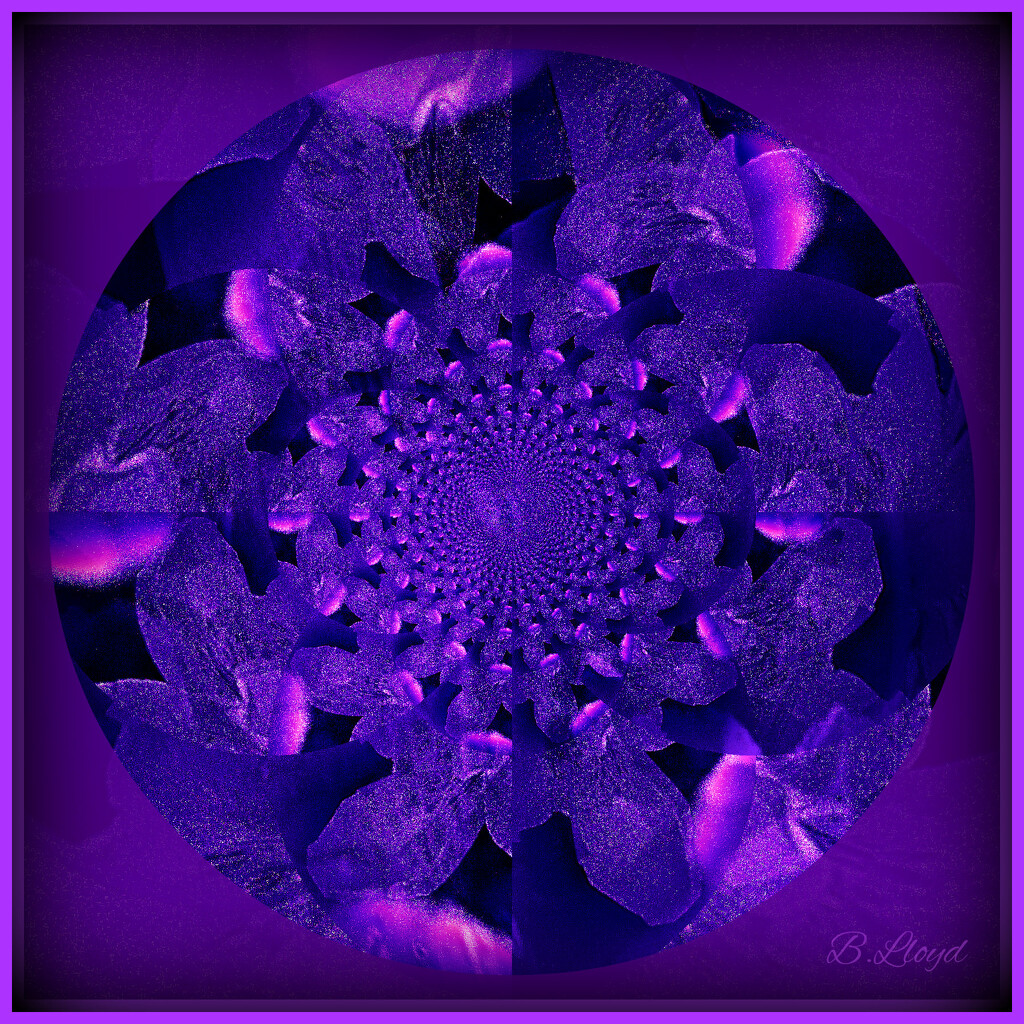 Purple kaleidoscope  by beryl