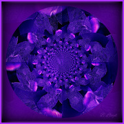 25th Mar 2023 - Purple kaleidoscope 
