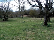25th Mar 2023 - Lower Orchard