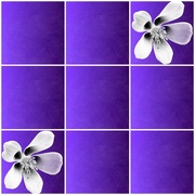 25th Mar 2023 - Purple Background