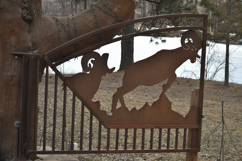 Gate To A Taxidermist's Home by bjywamer