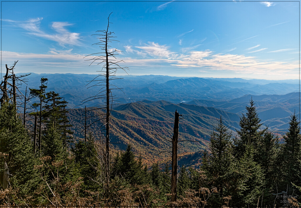 Clingmans Dome by bluemoon