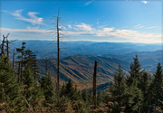24th Oct 2019 - Clingmans Dome