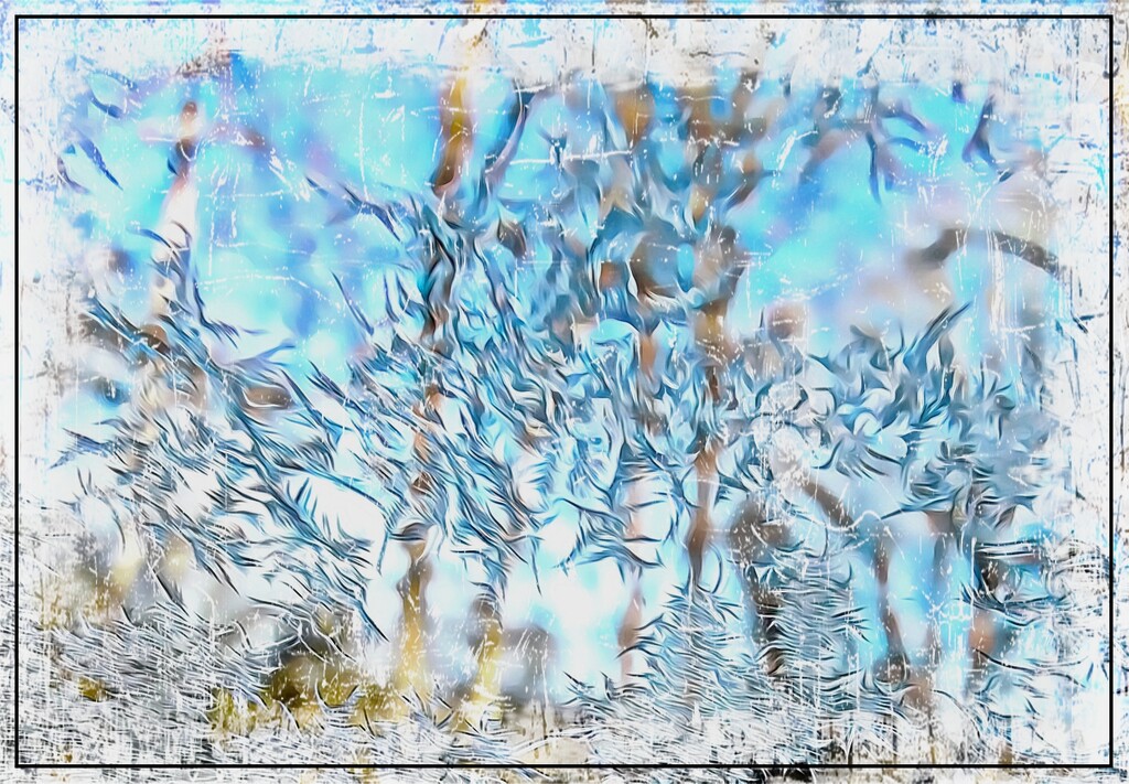 Frosty Blue Abstract by olivetreeann